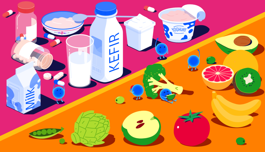 Probiotika og kronisk inflammation: Hvordan kan de hjælpe med autoimmune sygdomme?