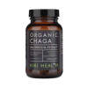 Chaga Extract