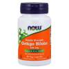 Ginkgo Biloba Double Strength